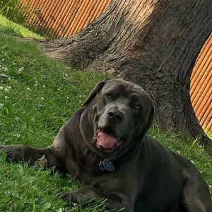 Meet your Posher, Lourdes